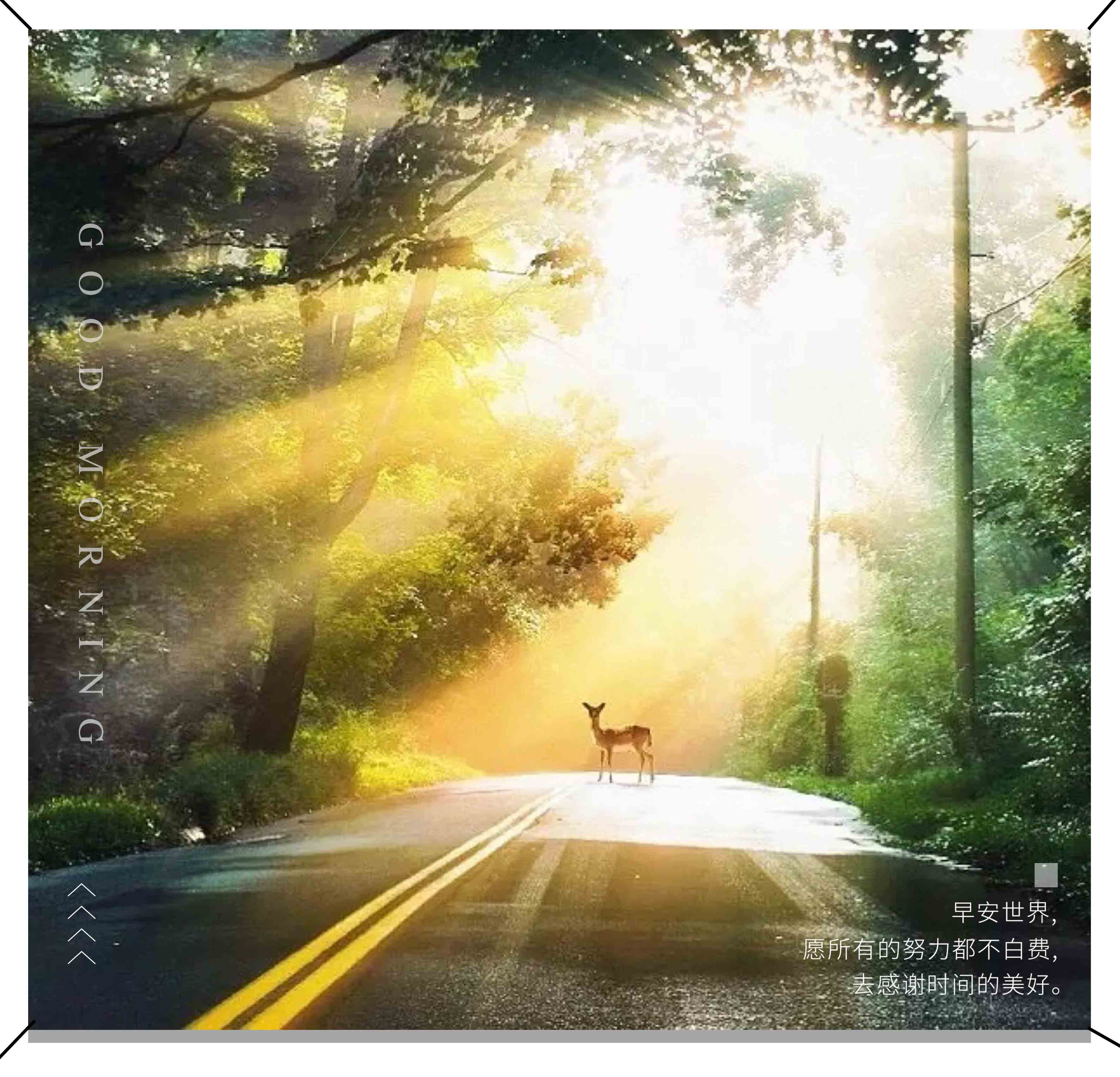 G:\u7231电气早班车
.12（2）.jpg