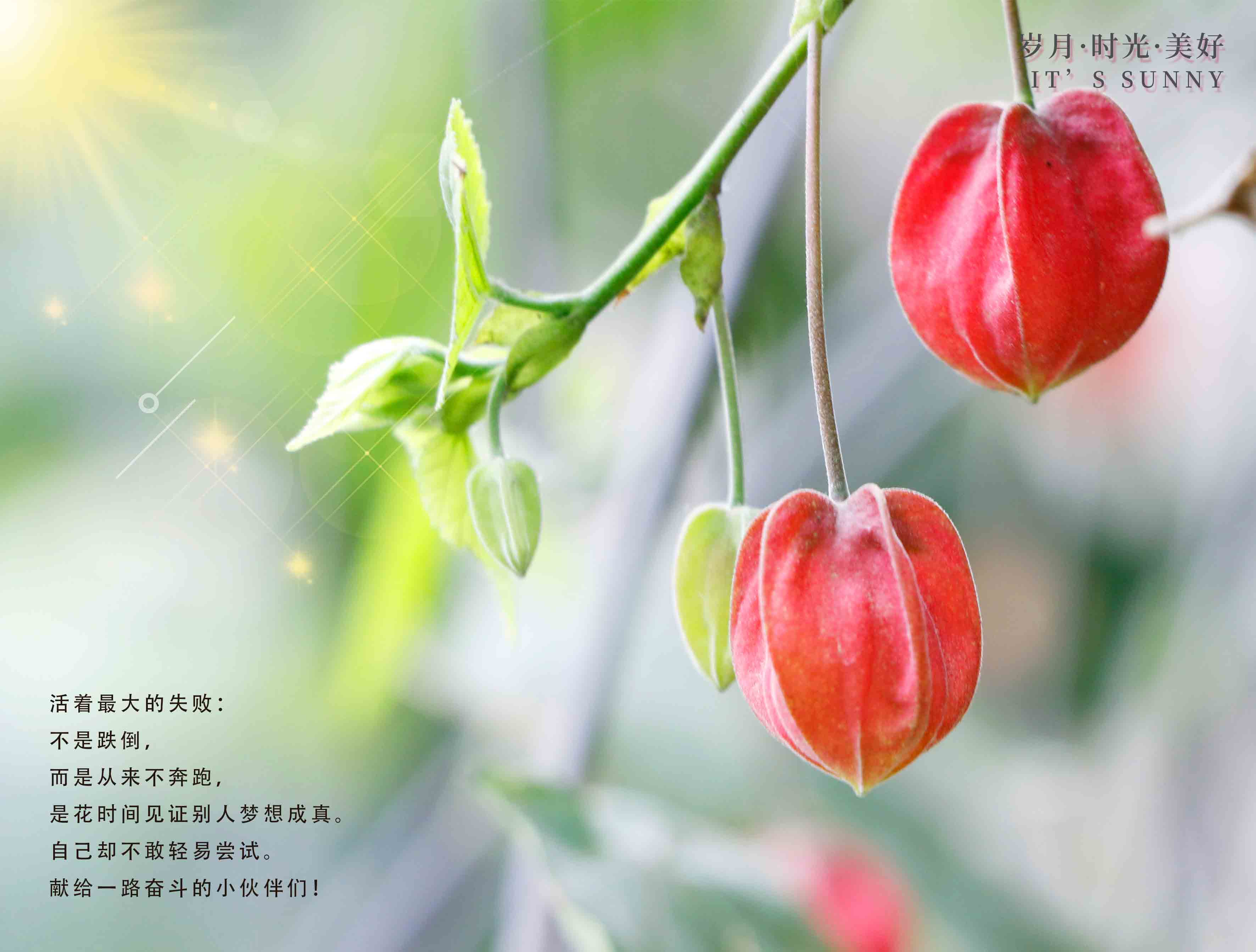 G:\u7231电气早班车
.25（2）.jpg