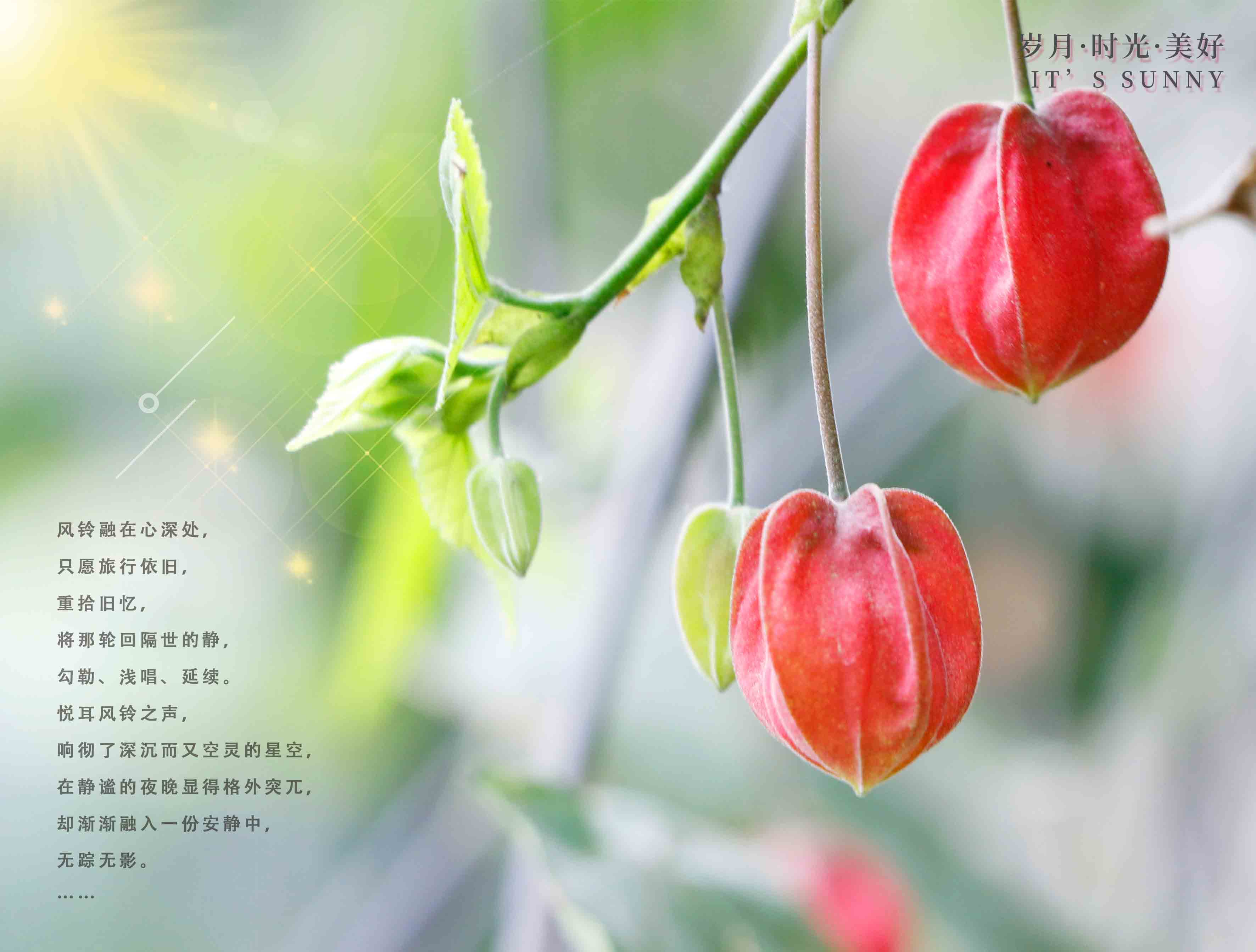 G:\u7231电气早班车
.17（2）.jpg